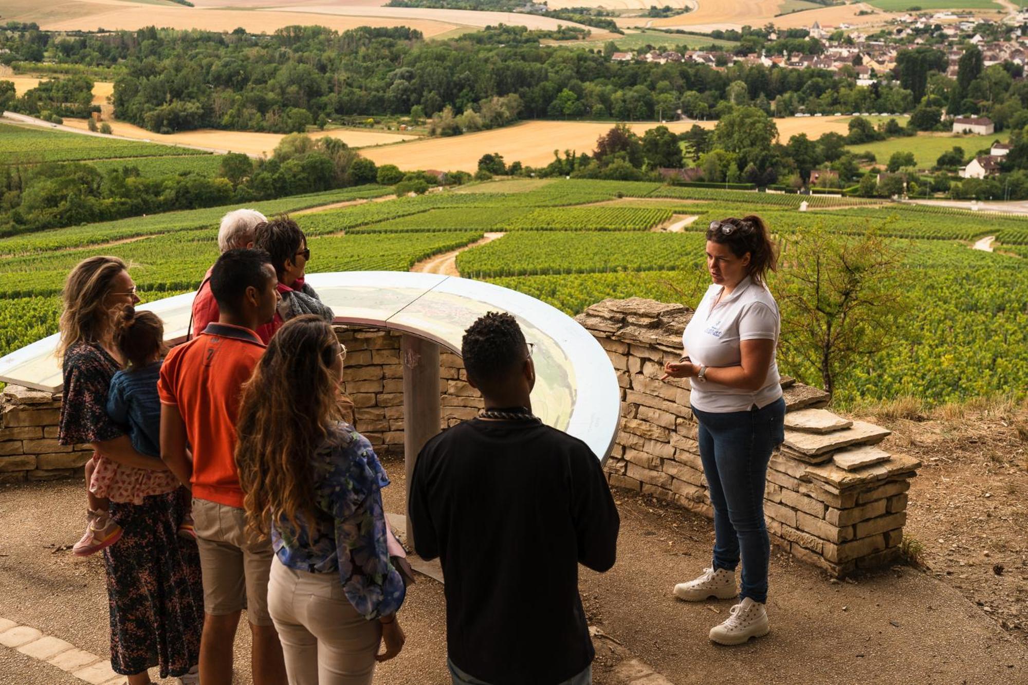 Les Suites Gueguen Chablis Exterior foto